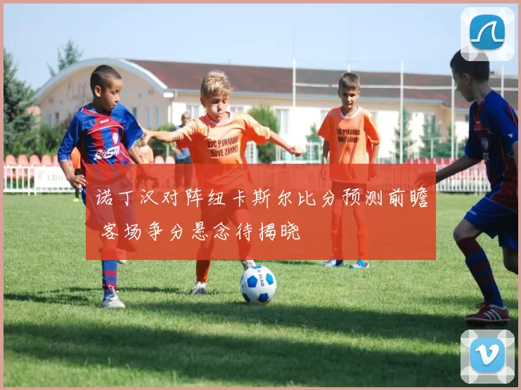 诺丁汉对阵纽卡斯尔比分预测前瞻 客场争分悬念待揭晓